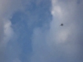 Fun jet with vector thrust Fun jet with vector thrust