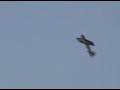 E-Flite Showtime 4D Mini Maiden Flight.