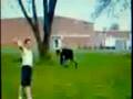 big stick fun