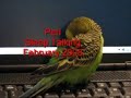 Thumbnail #1