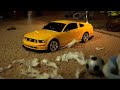 Car Pets