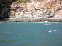 Open Water Swimming, Hong Kong - The Clean Half