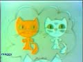 dos gaticos dos gaticos