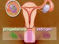 Hormone Therapy (Treating Menopause #2)