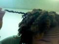 videos de Flat twist out