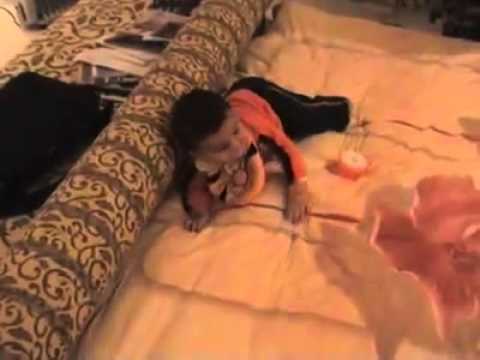 نيك اولاد