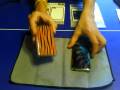 DecalGirl Ipod Touch 1G/2G Reviews