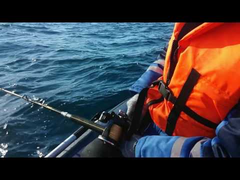 как ловить на баренцевом море как ловить на баренцевом море