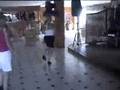 clip video Hermes House Band Disco Samba Ii