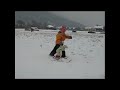 Click here to watch this video Hase lernt Skifahren 21.01.2007.avi