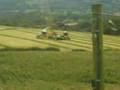 videos de Graham Parkes claas 900 and new holland fx58 load fastrac 31