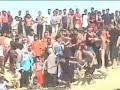 تحرش جماعي في شم النسيم في محمية وادي الريان بالفيوم