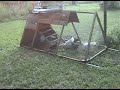 Chicken Tractor