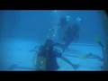 videos de Discover Scuba #3 - Edinburgh - 06/09/08