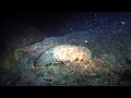 La Caleta night dive