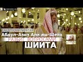 Главный муфтий Саудовской Аравии Абдул Азиз Али аш Шейх разбит вопросами шиита