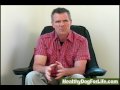 Take the Dog Health Test
