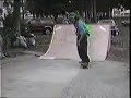 Skate Fairy - Old Days \