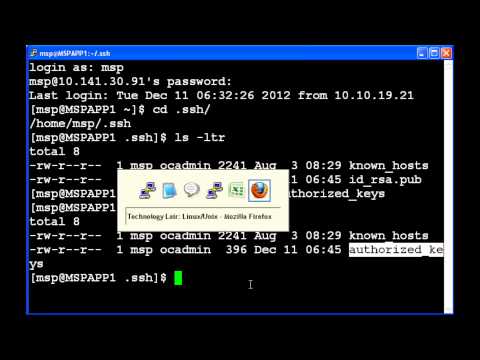 how to provide password in ssh command