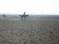 Dollar's Best Run
