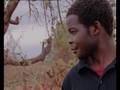 Zimbabweans in South Africa