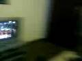 videos de Tele Poil mdr