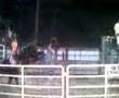 bullridin