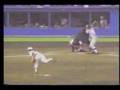 智弁学園動画16