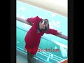 Story of our trip