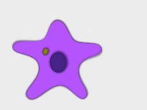The Waltzing Amoeba
