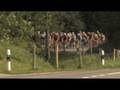 videos de Säntis Challenge Trailer