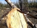 Angel stick