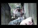 Zobacz film Zobacz film