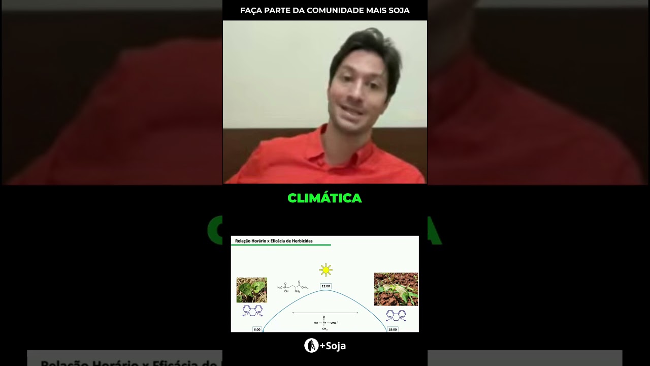 Herbicidas e o momento de aplicação? #herbicidas #agro #agricultura