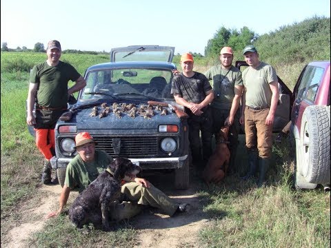 Охота в Сербии