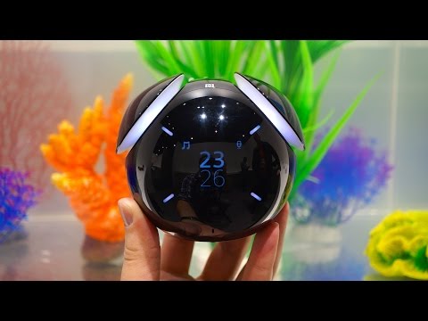 Sony BSP60 Hands-On: An Adorable Robot Assistant