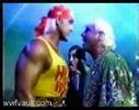 hulk hogan vs. ric flair and undertaker