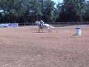 16.0 second run, hopper ranch. june 14, 4th place 2d youth division. lisa & whisper