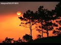 beautiful baguio