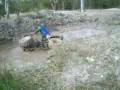 5 in the loader