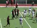 videos de domehogs