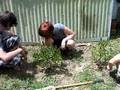 videos de Servant Project #2