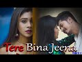 Download Tere Bina Jeena Yaara 2 Heart Touching Love Story Bewafa New Hindi Song Puja Samrat Mp3 Song