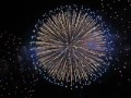 ?????????? 2007 - The Omagari All Japan Fireworks Competition