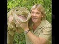 Tribute to Steve Irwin