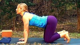 Yoga Workout Beginners Lower Back Stretch Home Exercise Routine How To
