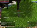 UmutKaRa Kn?gt OnLine  (CpknS3RS3R!)
