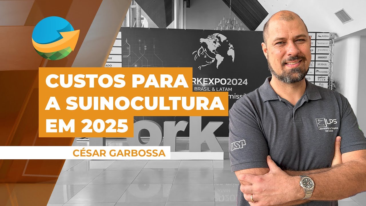 2024 foi ano de recuperação de margens na suinocultura, e 2025 deve ser de manutenção, detalha pr...