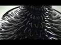 Sachiko Kodama & Minako Takeno -  Morpho Towers 2006/07