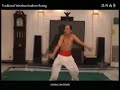 Wenzhou Nanquan -  Wu Bu Di [ 温州南拳:五步敌]